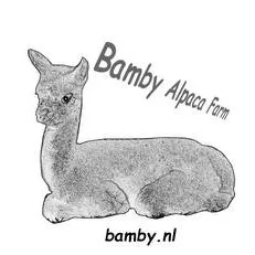 Welkom bij Bamby Alpaca Farm. Ontdek de Magie van Alpaca's in Limburg.